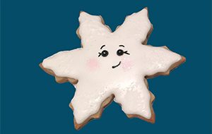 snowflake snowflake